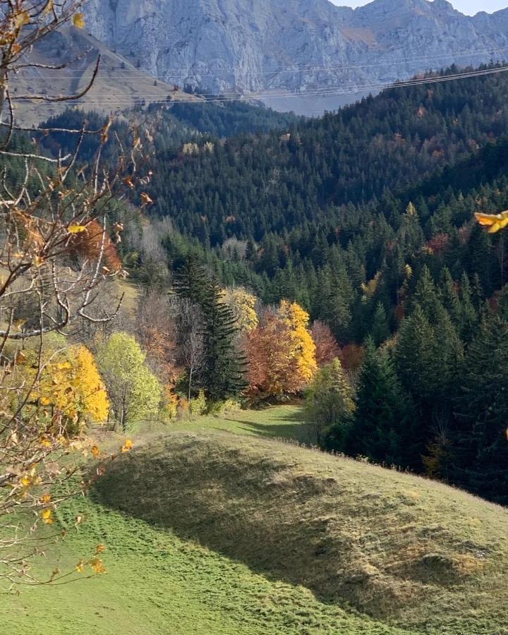 Bel 3* Centre Village * Villard-de-Lans